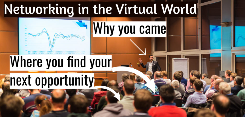 Networking in the virtual world